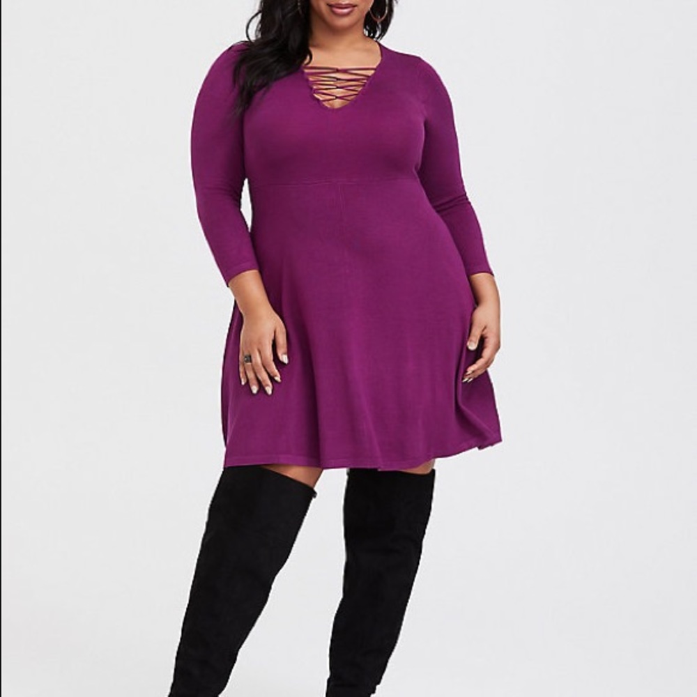 Torrid berry sweater skater dress